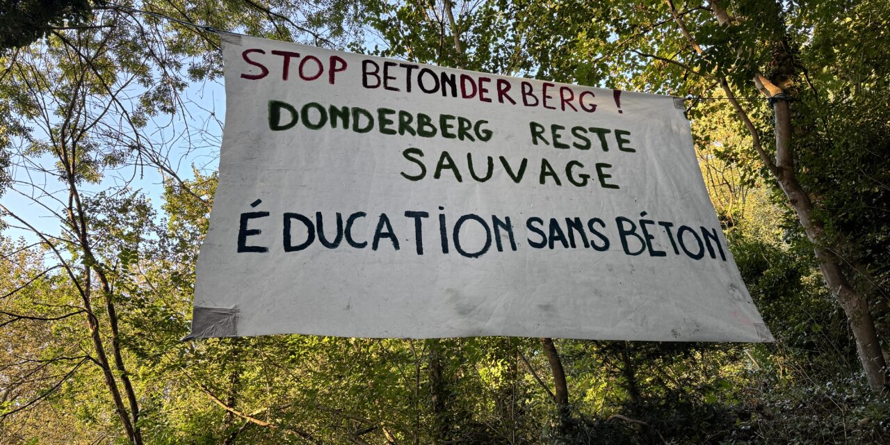 Et les oiseaux chanteront : soutien à la ZAD du Donderberg