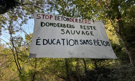 Et les oiseaux chanteront : soutien à la ZAD du Donderberg